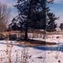 Jaz Ranch