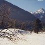 Jaz Ranch