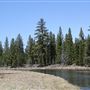 La Pine State Park: Big Pine