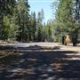 La Pine State Park: Big Pine
