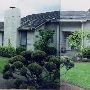 House #10002501