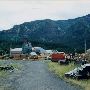 Bear Mountain Forest Products