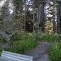 Arch Rock Picnic Area