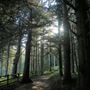 Arch Rock Picnic Area