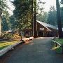 Camp Tamarack
