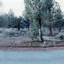 Goodrich Road - east of Sisters