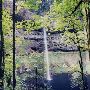 Silver Falls State Park