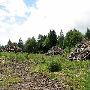 Clear Cut - Hwy 47 between 26 and Vernonia