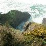 Sea Lion Point