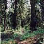 Oxbow Park