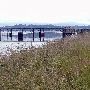 Lewis & Clark River Bridge