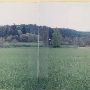 Brownsville Fields