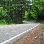 Pumpkin Ridge Road