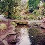 Crystal Springs