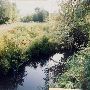 Fanno Creek Park