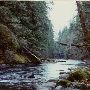 Green Canyon
