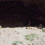 Cave Creek