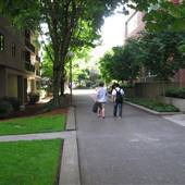 SW Pedestrian Trail