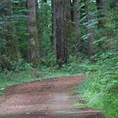 Dried up - Roslyn Lake