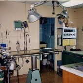 Woodstock Veterinary Hospital