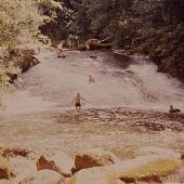 Water Slides - Triangle Lake