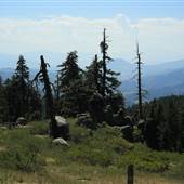 Mt. Ashland Campground