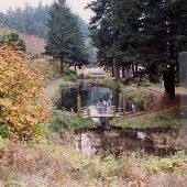 Leaburg Fish Hatchery