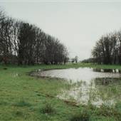 Sauvie Island  - Lakes