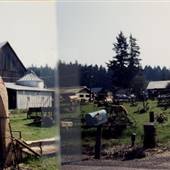 Duyck's Peachy Pig Farm