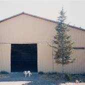 Red Hawk Farm