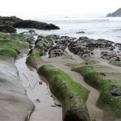 Oswald West State Park