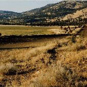 Loveness Farms Airpark