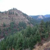 Hells Canyon Overlook