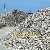 Qualman Oyster Farms