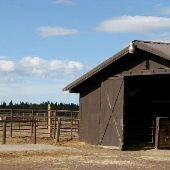 Sunriver Stables