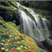 Proxy Falls