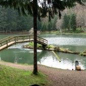 Horning's Camp