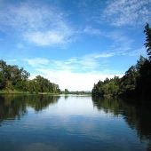 Willamette River - Lambert Bar