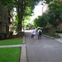 SW Pedestrian Trail