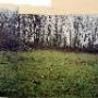 Scappoose Fields