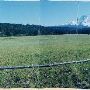 Scholl Property