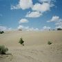 Christmas Valley Sand Dunes
