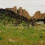 Smith Rock State Park