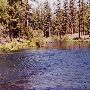 Metolius River