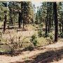 Metolius River
