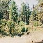Metolius River