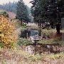 Leaburg Fish Hatchery