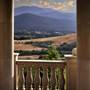 Belle Fiore Winery