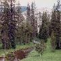 Sparks Lake