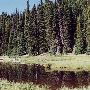 Sparks Lake